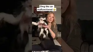 OMG the look of terror on his face 🤣   🎥 : abberoni_dave77 on tiktok. #cats #dogs #petvideos #lol