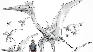 How to draw Comparison Paleoart