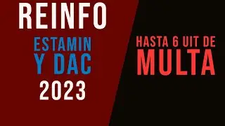 #REINFO #2023 - Sujetos en #REINFO que deben declarar #ESTAMIN y #DAC