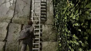 The Last of Us Part II - First time Courthouse and this happened