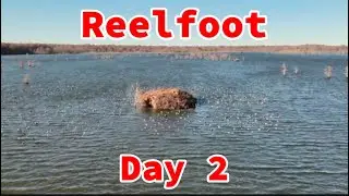 Duck hunting Reelfoot lake Day 2!!