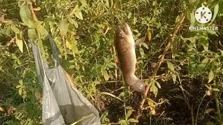 Pescaria com linhada de mão, rendeu !!!