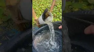 Amazing Pipe Fishing Technique #shorts