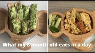 What my baby eats in a day | Baby led weaning | 8 months old