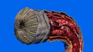 How does a sandworm work