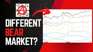 The Crypto Bear Market Unlike Any Other