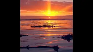 Ocean Sunset Serenity - Relaxing Beach Soundscape for Focus & Productivity
