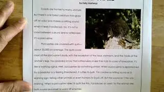 Quills and Thrills by Kelly Hashway-- Follow Along in the Text