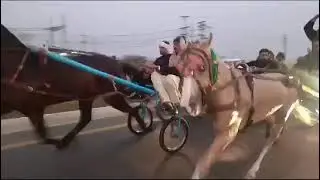 Boski ghora vs haidari malang ghora race  December 2024