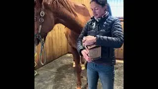 How to Keep Thin-soled and Tender-footed horses happy with Cavallo Hoof Boots