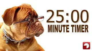 25 Minute Timer for PowerPoint and School - Alarm Sounds with Dog Bark