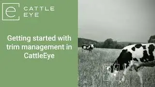 Getting started with trim management in CattleEye