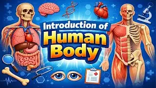Human Body Introduction |Introduction of Human Body |Introduction to Human Body @PharmacyLKgroup