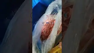 High-efficiency bone-meat separator for clean, fast processing in poultry and meat production