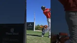 Johnnie O represents with a STUFFED tee shot #johnnieo #fiestabowl #par3 #mountainshadows #short