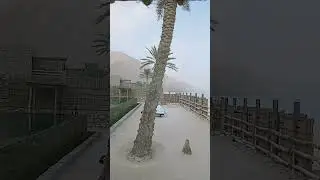 Gemuruh ombak pantai Oman