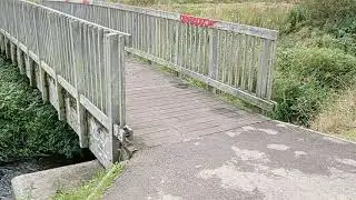 Wild Boldon Colliery, Rural England.