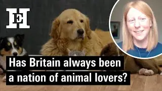 Bear baiting and c**k fighting: when Britain was not a nation of animal lovers