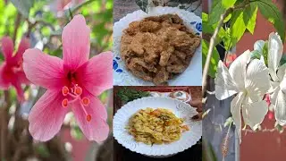 #Bangla vlog /মধ্যবয়সে এসে একে একে প্রিয়জন সব হারিয়ে যায়।