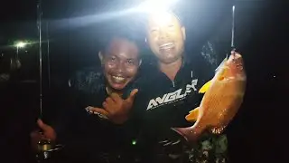 Mancing dan masak di pinggir pantai || Spot potensial ikan jangki dari pinggir