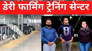 do you also want to start dairy farming? dairy farm training centre