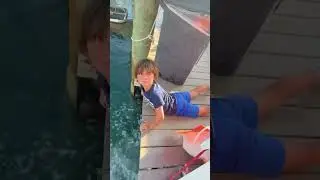Fun moments of releasing fish 🤣🤣🤣#funny #happy #fish #funnyvideos #animals