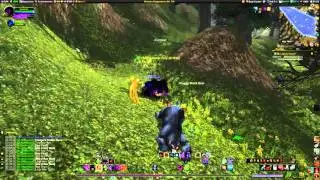 WoW 6.2 - Warlock Demonology Gameplay (lvl 40)