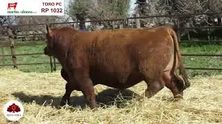 Toro PC RP 1032