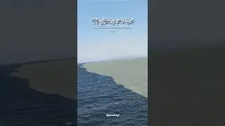 Who Put's Barrier Between Two Oceans ? #quran #arrehman #arrahman #quran4everyone #ocean