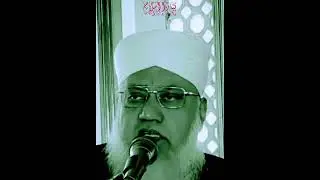 Bayan #shorts #muftitariqmasood #ajmalrazaqadri #molanatariqjameel #peerzulfiqarahmadnaqshbandi #mtj