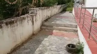 Snake at GCE college theni