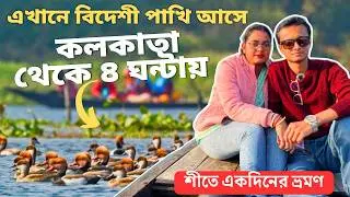 একদিনে পূর্বস্থলীর চুপি পাখিরালয় ঘুরে এলাম | Chupi Pakhiralay