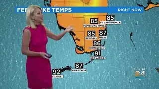 Miami Weather 6/17/22 11PM