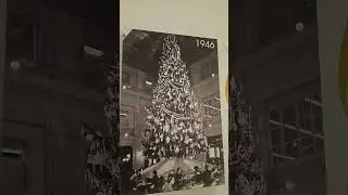 Уличная прогулка в Чикаго, полдень, 30 октября 2025 г. &mdash; Walnut Room в Macy's (ранее Marshall Fie...