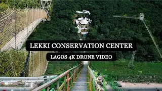 Exploring Lekki Conservation Centre In Stunning 4k Drone Footage!