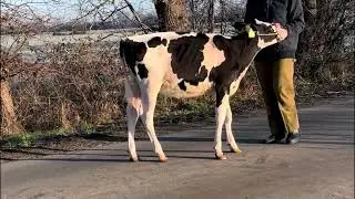 Kat Nr 29 - Eye Like DE 03.669.19501 // TGA 2026