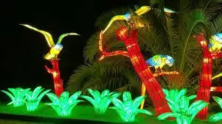 Glowfari - Oakland Zoo
