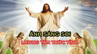 Ánh Sáng Của Lương Tâm Nỗi Đau, Nước Mắt Và Hy Vọng
