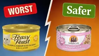 Wet Cat Food You Should NEVER Feed Older Cats (SENIORS, PAY ATTENTION)