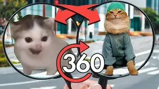 Find German Cat Meme X Tob Tobi Tob Tob Tobi Tob | Finding Challenge 360&ordm; VR