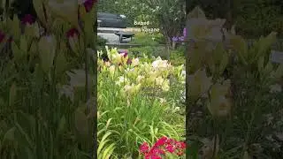 Прогулка по Саду ФЛОКСОВ 🌿 Park der G&auml;rten 🌿