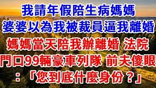 我請年假陪生病媽媽，婆婆以為我被裁員逼我離婚，媽媽當天陪我辦離婚，法院門口99輛豪車列隊，前夫傻眼：您到底什麼身份？#思妤說故事#為人處世#生活經驗#情感故事#晚年哲理#說故事#完結文#原創故事