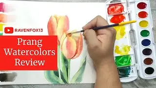 Prang Watercolor 8 Colors Set Review