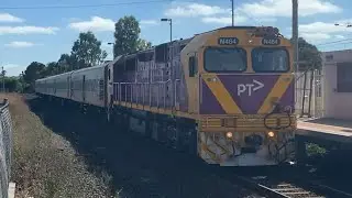 N464 at Broadmeadows Station 23/02/2019
