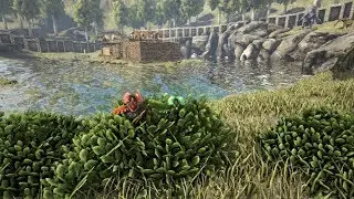Ark: Admin Trolling Still? Yes! Beware the trolling