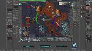 Tibia - Global - Kalibra - ED 1000 | TOP: Bosstiary: 1º | Bestiary: 6º | Achiev: 18º (Ranks Kalibra)