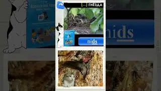 Правила чтения. Французский для начинающих. Буква D [...]. French for beginners #fran&ccedil;ais