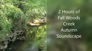 Autumn Forest Creek Nature Scene Fall Water Sounds Relaxing 2 Hours for Sleep Studying Stress Relief