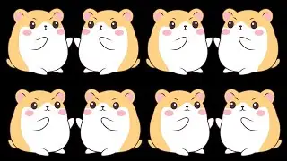 Happy Baby Sensory - Hamster Sensory - High Contrast - Sensory Video for Babies - AutismSensoryVideo