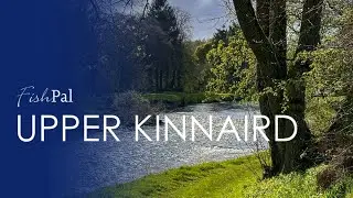 Upper Kinnaird: Cast A Fly on the Charming South Esk